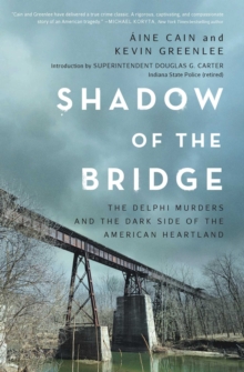 Shadow of the Bridge - Cain, Aine