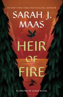 Image for Heir of fire