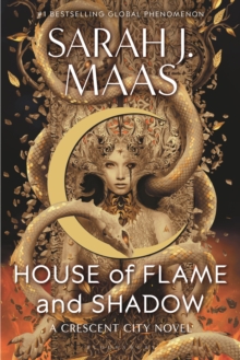 Image for House of Flame and Shadow