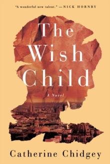 Image for The wish child: a novel