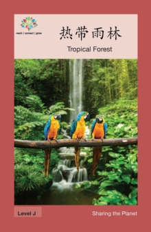 Image for ???? : Tropical Forest