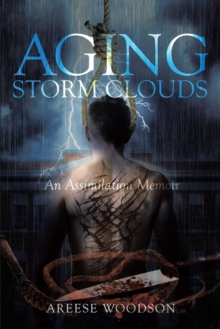 Image for Aging Storm Clouds: An Assimilation Memoir