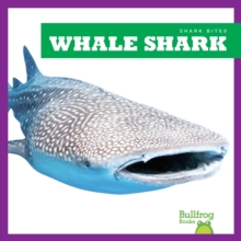 Whale Shark