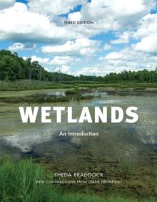 Image for Wetlands : An Introduction