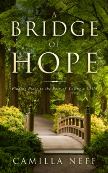 Image for A Bridge of Hope