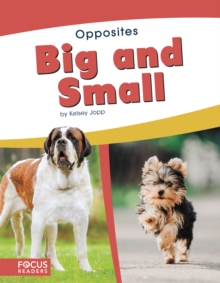 Opposites: Big and Small