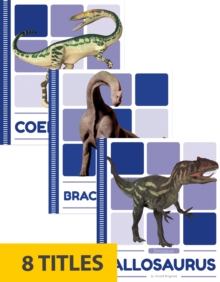 Image for Dinosaurs (Set of 8)