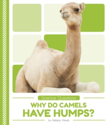 Image for Why do camels have humps?