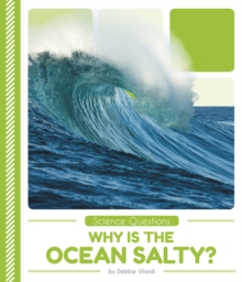 Image for Science Questions: Why Is the Ocean Salty?