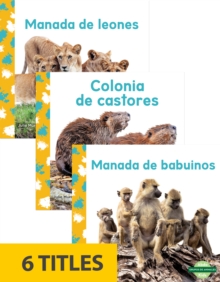 Image for Grupos de animales (Animal Groups) (Set of 6)