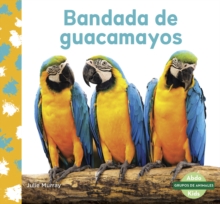 Image for Bandada de guacamayos