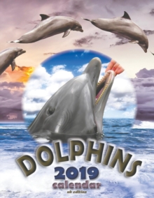 Image for Dolphins 2019 Calendar (UK Edition)