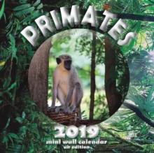 Image for Primates 2019 Mini Wall Calendar (UK Edition)