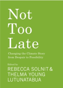 Image for Not too late  : changing the climate story from despair to possibility