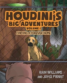 Image for Houdini's Big Adventures