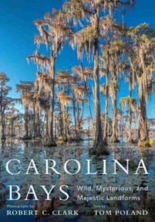Image for Carolina Bays  : wild, mysterious, and majestic landforms