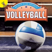 Image for Volleyball