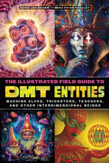 Image for The Illustrated Field Guide to DMT Entities