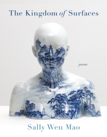 Image for The Kingdom of Surfaces