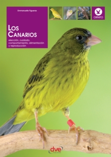 Image for Los canarios. Eleccion, cuidado, comportamiento, alimentacion y reproduccion