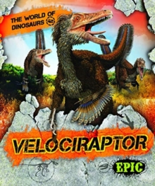 Velociraptor