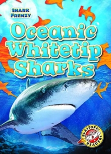 Oceanic Whitetip Sharks