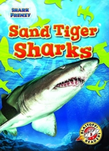 Image for Sand Tiger Sharks