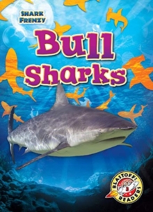 Image for Bull Sharks