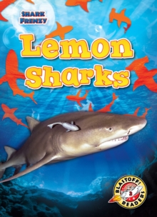 Lemon Sharks