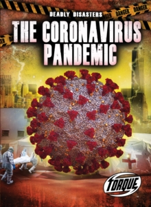 The Corona Virus Pandemic