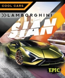 Image for Lamborghini Siâan