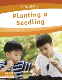 Life Skills: Planting a Seedling