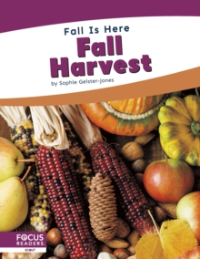 Fall is Here: Fall Harvest