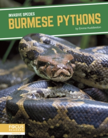 Image for Invasive Species: Burmese Pythons