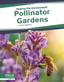 Image for Pollinator gardens