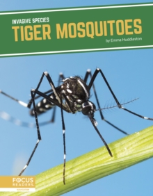 Image for Tiger mosquitoes