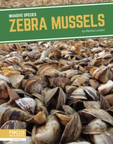 Image for Invasive Species: Zebra Mussels