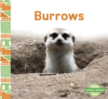 Animal Homes: Burrows