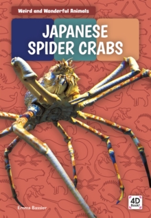 Image for Weird and Wonderful Animals: Japanese Spider Crabs