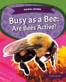 Image for Animal Idioms: Busy as a Bee: Are Bees Active?