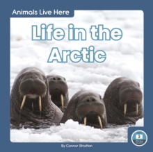 Animals Live Here: Life in the Arctic