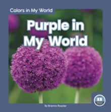 Image for Colors in My World: Purple in My World