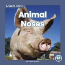 Animal Parts: Animal Noses