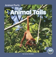 Animal Parts: Animal Tails