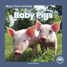 Image for Baby pigs