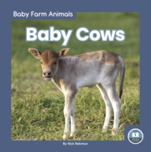 Image for Baby cows