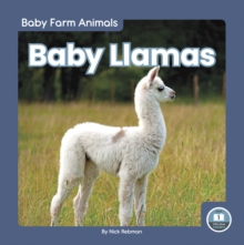Image for Baby llamas