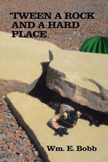 Image for 'tween a Rock and a Hard Place