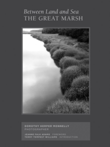 Image for Between Land and Sea: The Great Marsh