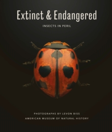 Image for Extinct & Endangered: Insects in Peril